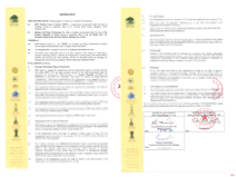 泰國試管嬰兒醫院BNH授權書