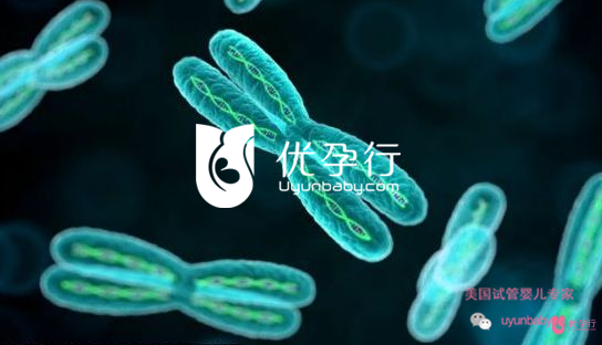 美國(guó)試管嬰兒