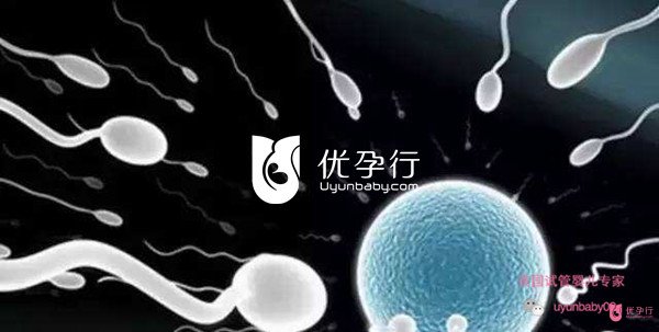 美國試管嬰兒