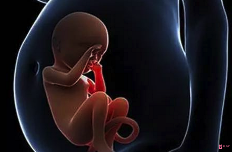 美國試管嬰兒