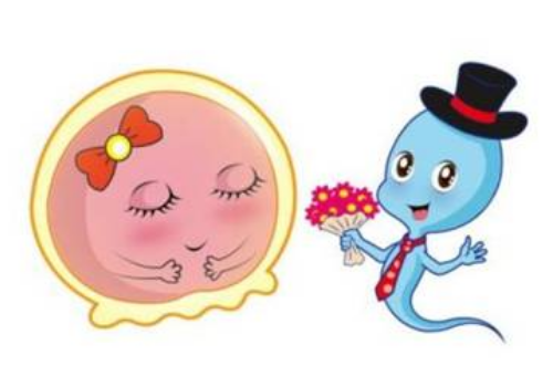 內(nèi)分泌紊亂影響試管助孕成功率嗎