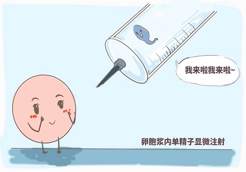 如何判斷美國(guó)試管嬰兒醫(yī)院好不好