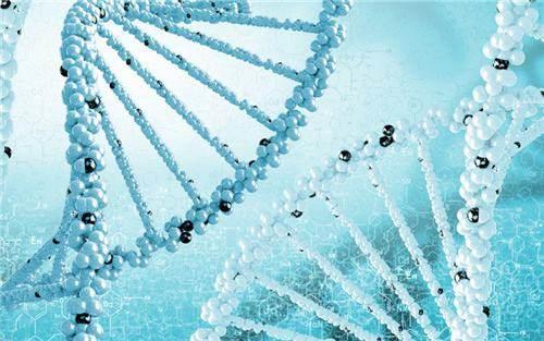 美國第三代試管嬰兒一般幾次成功？